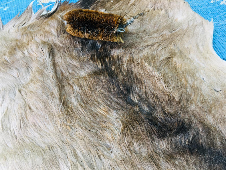 鹿皮鞣し 一応完了 山谷彷徨