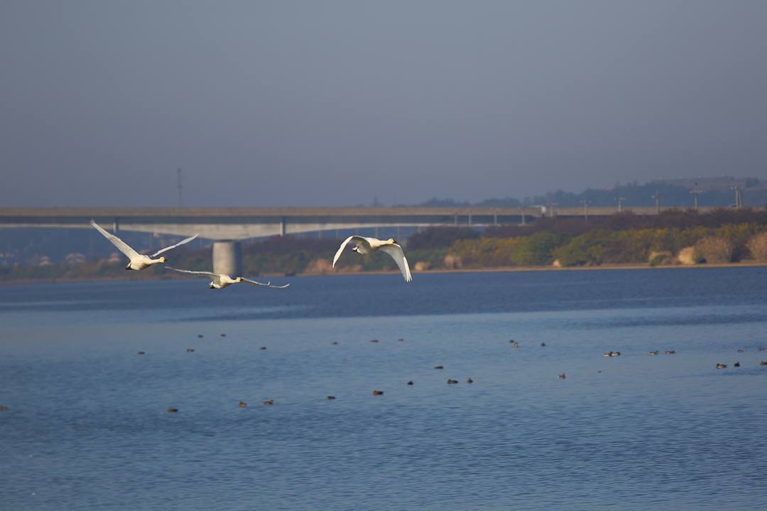 e0403850_16421154.jpg