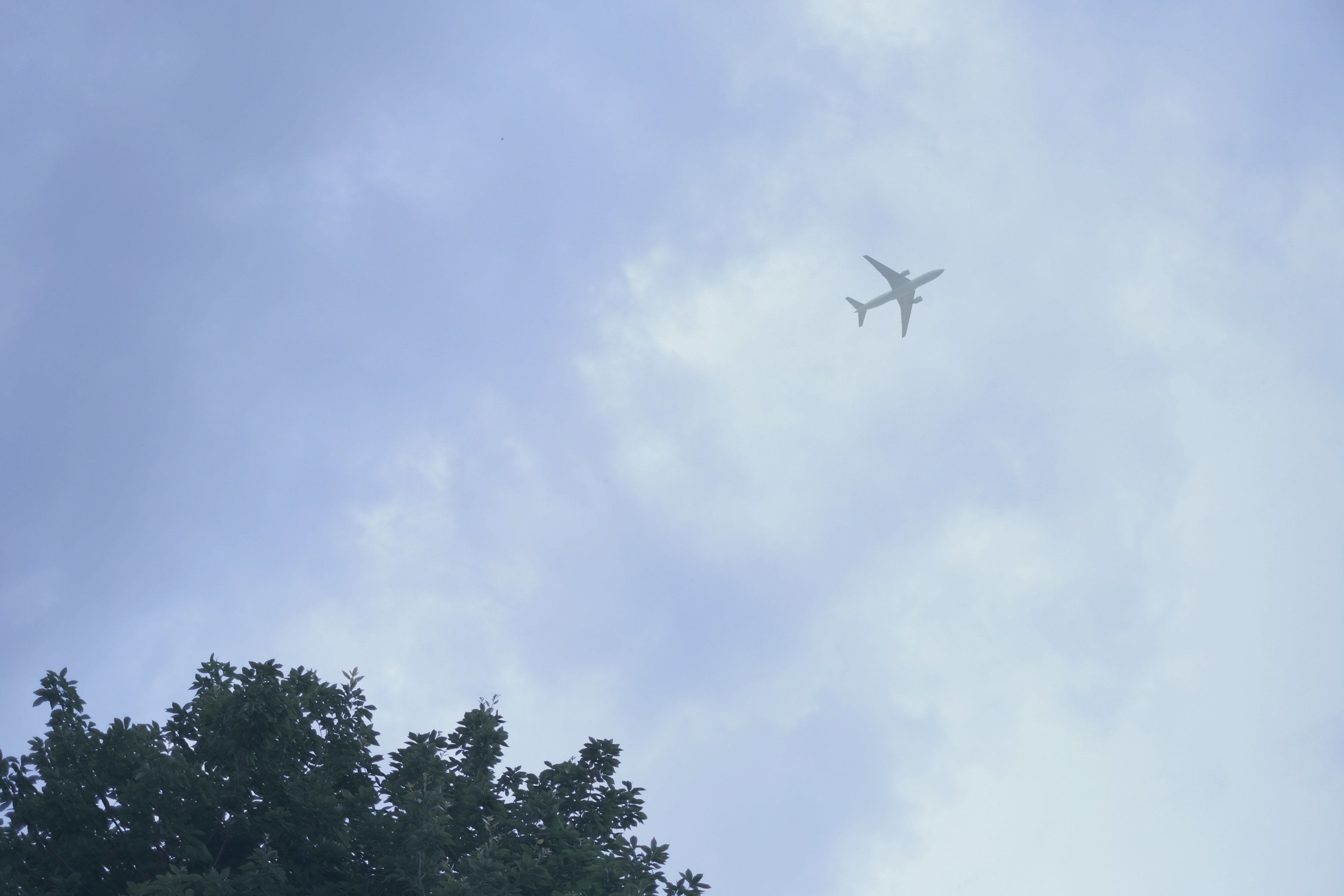 aima_a0271251_23432872.jpg