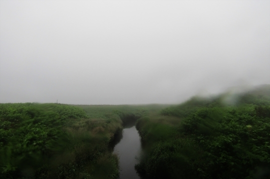 b0220251_05441683.jpg