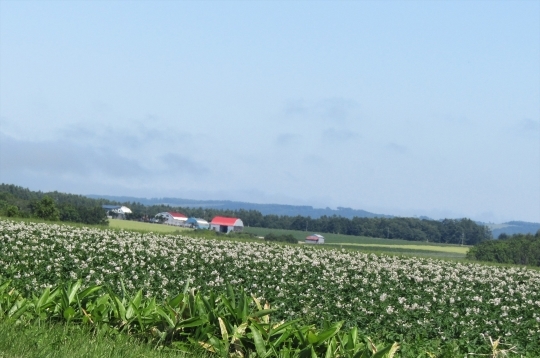 b0220251_05504773.jpg