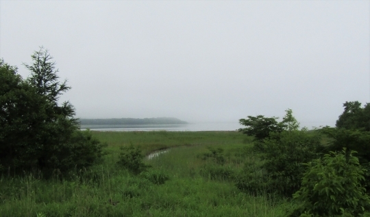 b0220251_18072997.jpg