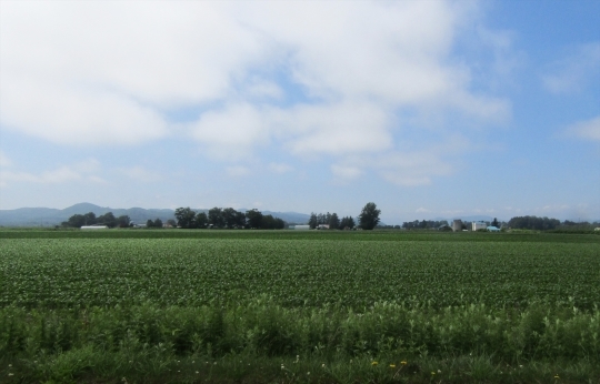 b0220251_18315345.jpg