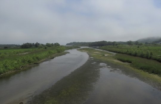 b0220251_19480133.jpg