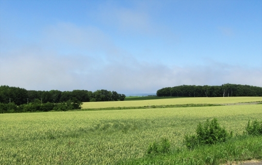 b0220251_20515922.jpg