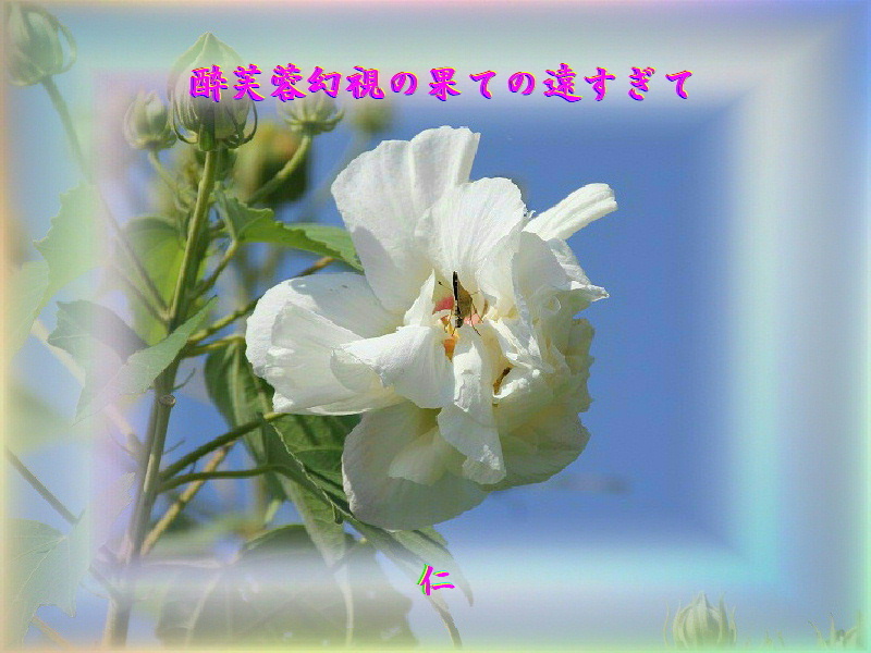 e0017651_22393166.jpg