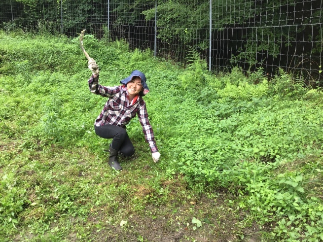 天は人の上に人を造らず。人の下に人を造らず。_f0337851_20202109.jpeg