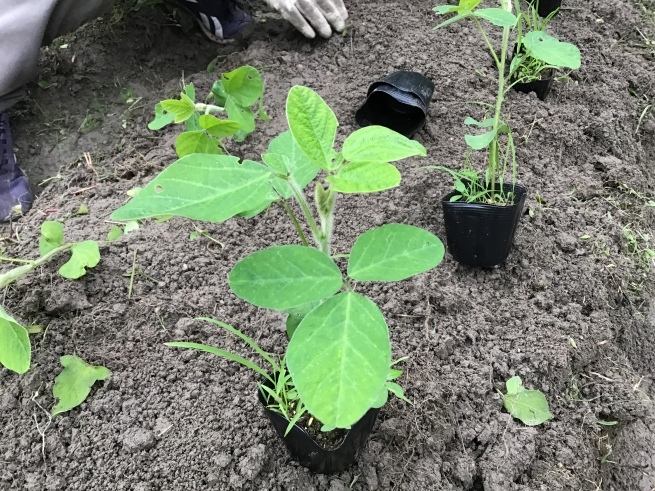天は人の上に人を造らず。人の下に人を造らず。_f0337851_20212040.jpeg