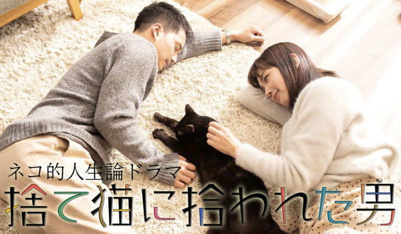 ネコ的人生論ドラマ 捨て猫に拾われた男_b0116656_06001228.jpg
