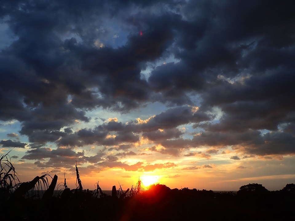 b0160957_10560059.jpg