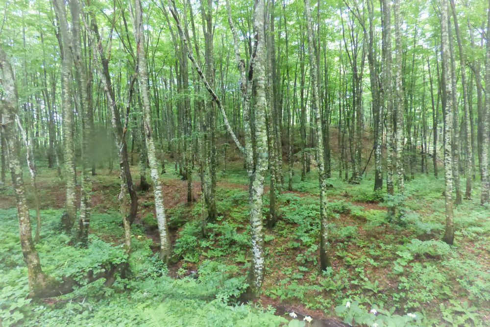 c0294658_22161985.jpg
