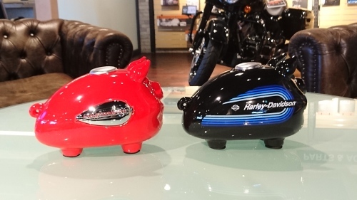人気商品【Hog Bank】新作入荷しましたよー。_b0317459_11171573.jpg