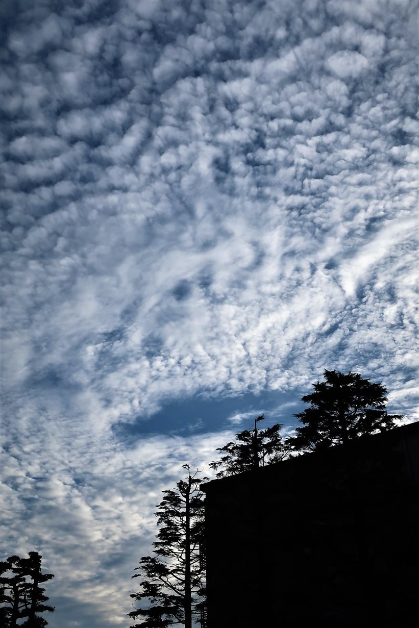 b0191160_00344676.jpg