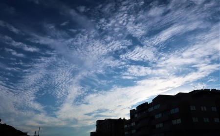 b0191160_00354502.jpg