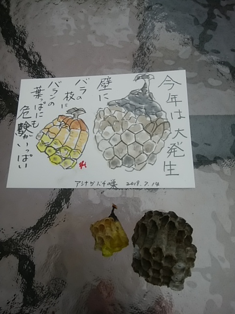 a0212061_11435131.jpg
