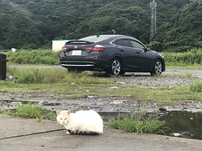 b0100062_15475096.jpeg