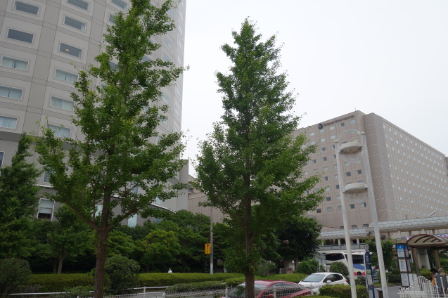 b0405262_19460399.jpg