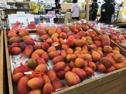 Miyako jima-4._c0153966_22123045.jpeg