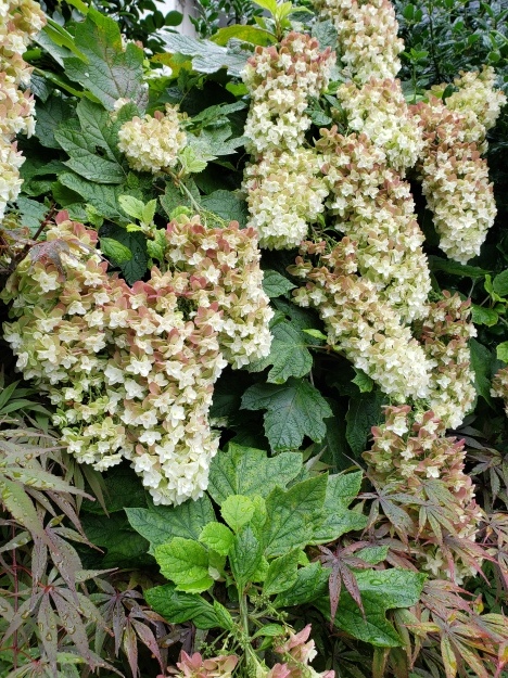 e0298866_14340570.jpg