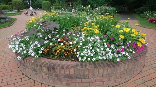 f0228967_22305215.jpg