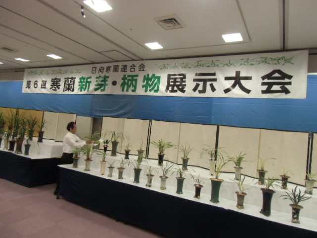 f0318967_21564418.jpg