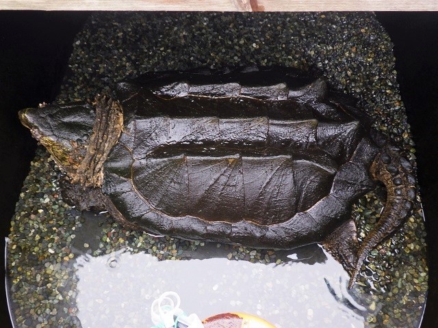 c0105569_00451885.jpg