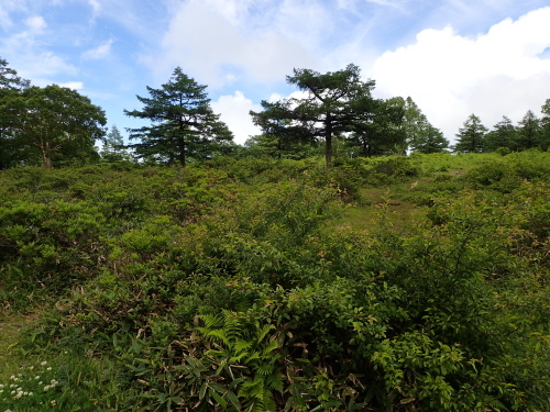 f0348480_07385045.jpg