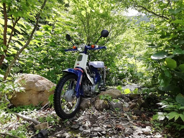 山カブ 林道とスカイラインで走行チェック : M55から