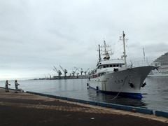 b0192588_9353735.jpg