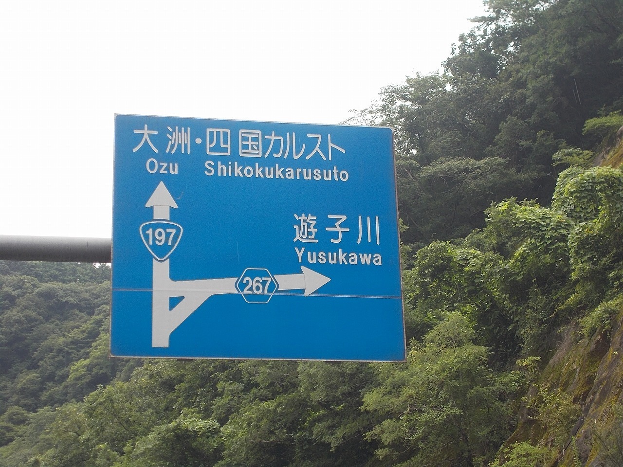 f0308898_22100835.jpg