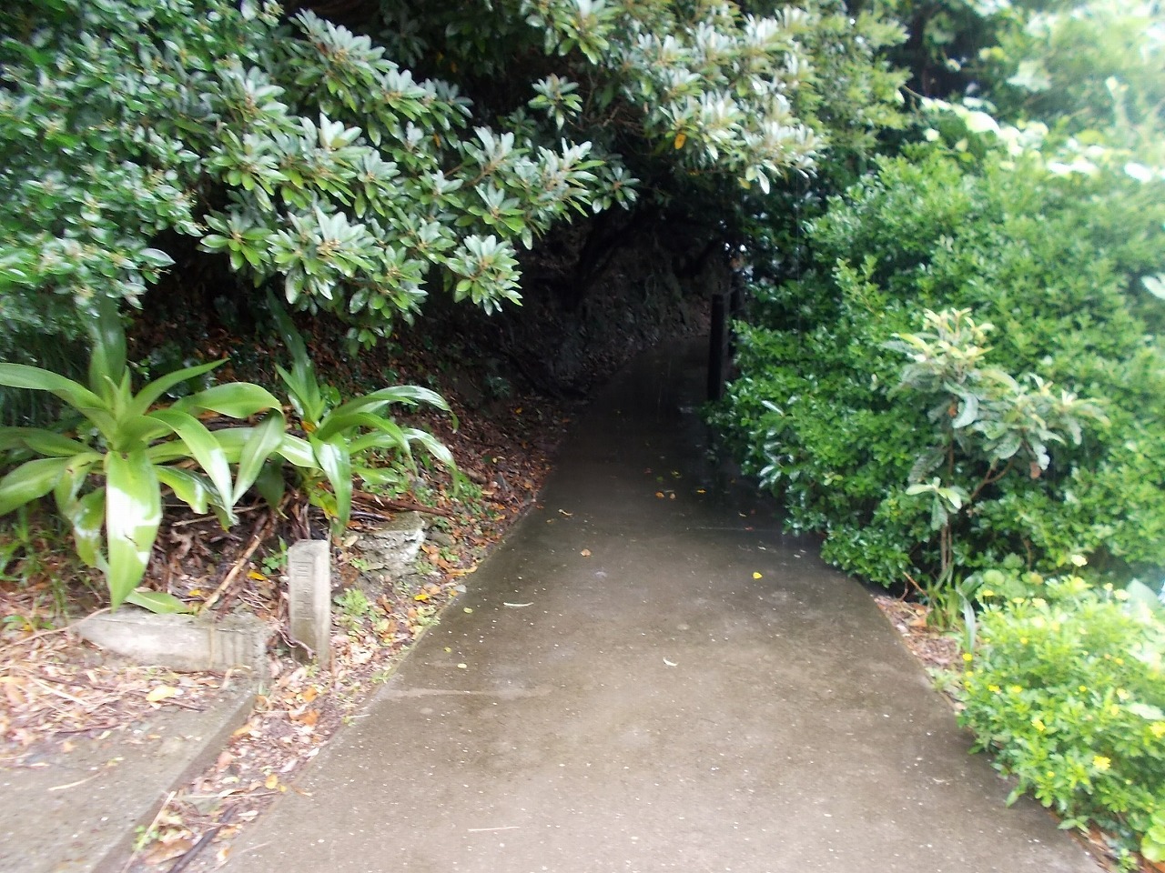 f0308898_22105201.jpg
