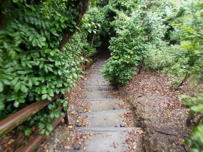 f0308898_22203420.jpg