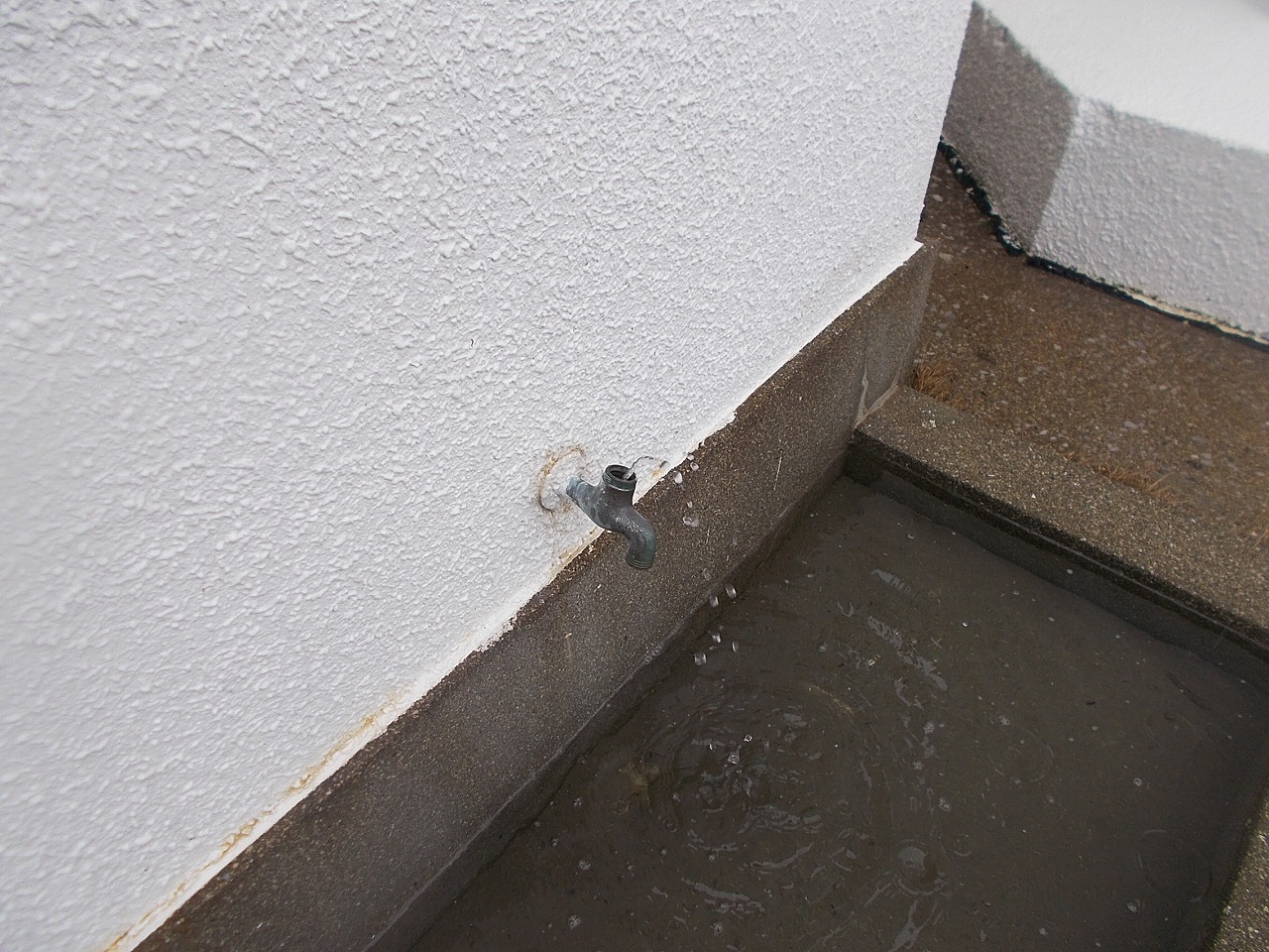 f0308898_22241119.jpg
