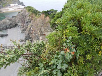 f0308898_22241194.jpg