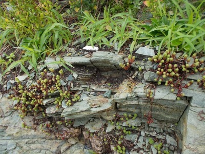 f0308898_22291221.jpg