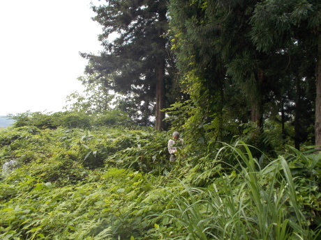 a0203003_19031293.jpg