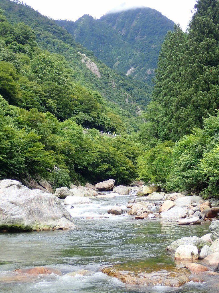 魚野川の渓流に行く 第３の釣り