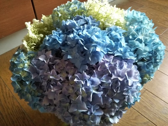 紫陽花ポンポン!_f0316507_17023009.jpg