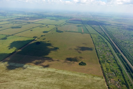 a0151913_12141.jpg