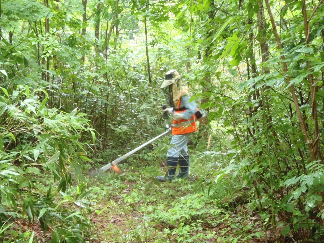 2019年7月13日(土) 【定例活動】柴原山林 風倒木処理・草刈り_c0173813_12463924.jpg