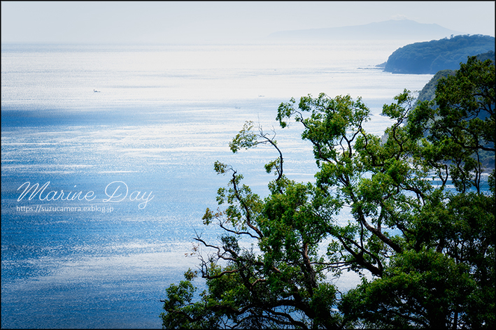 毎日が海の日_f0100215_15512076.jpg