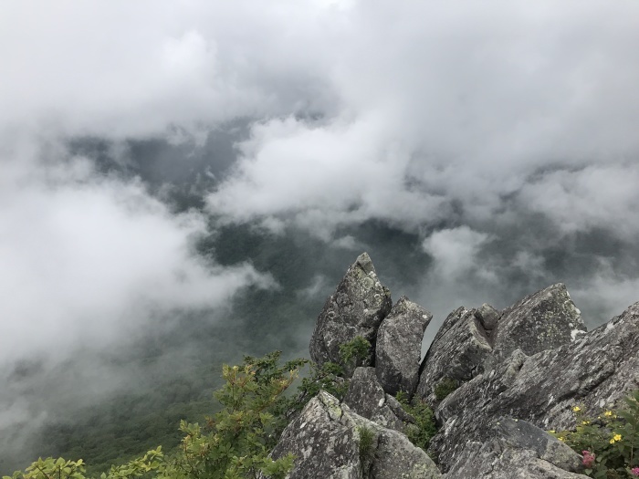 b0037220_08495491.jpg