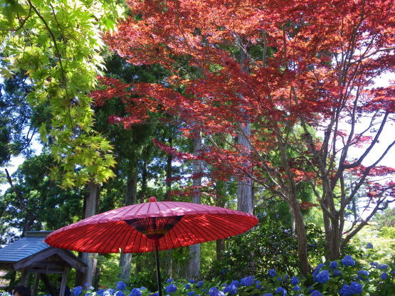 R1.7.15 五城目から男鹿雲昌寺_b0184721_13465085.jpg