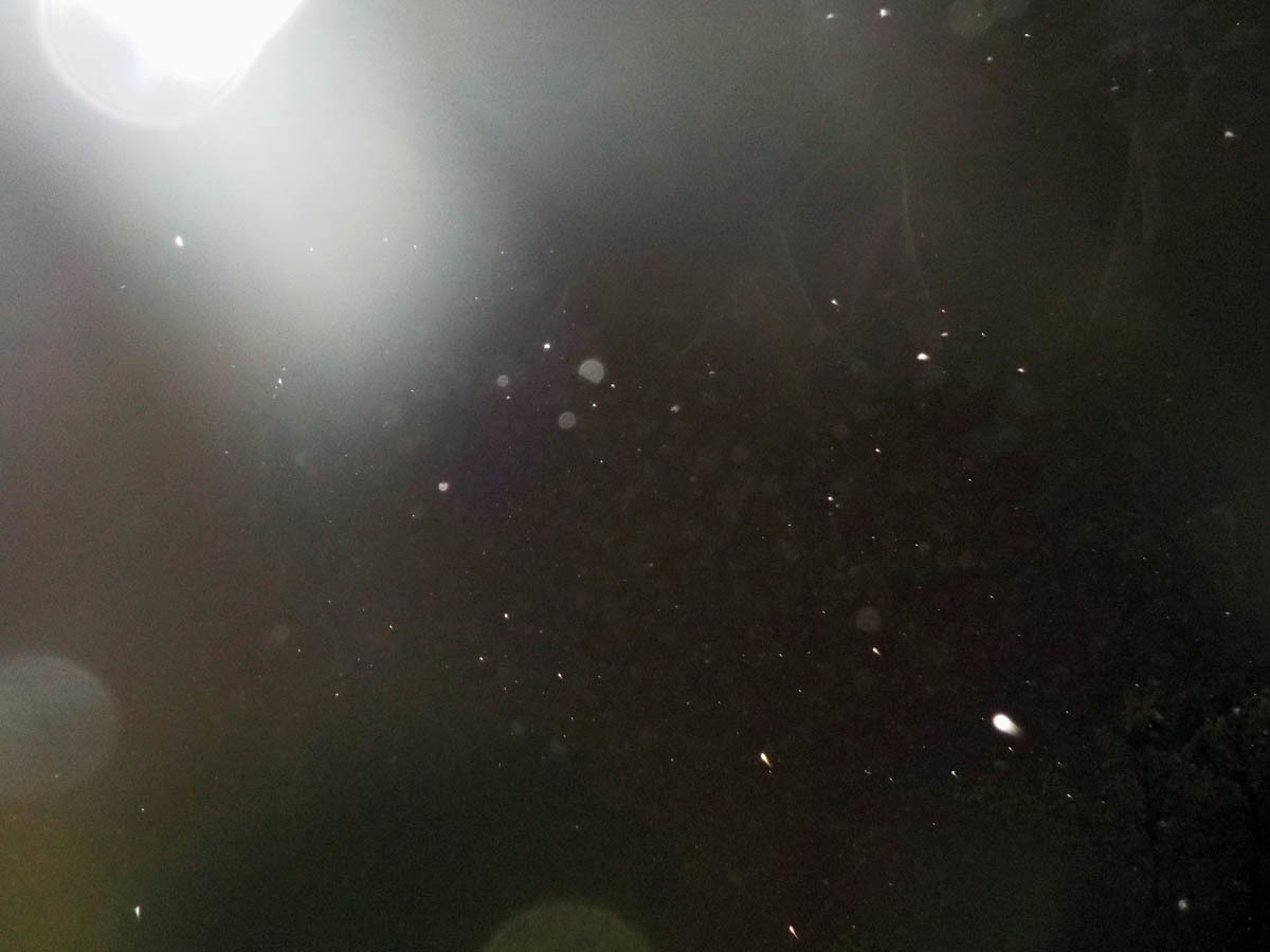 c0331825_20360191.jpg