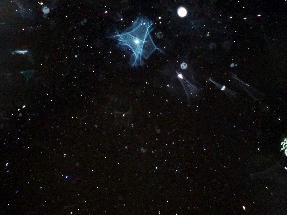 c0331825_20371944.jpg