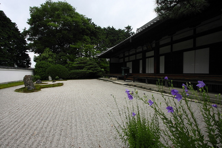 京都回顧 蓮の花咲くお寺－相国寺－_b0169330_15125062.jpg