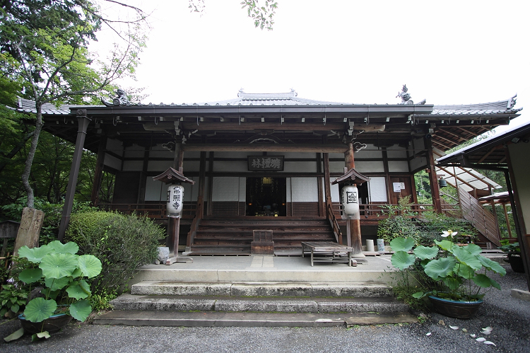 京都回顧 蓮の花咲くお寺－常照寺－ _b0169330_7343645.jpg