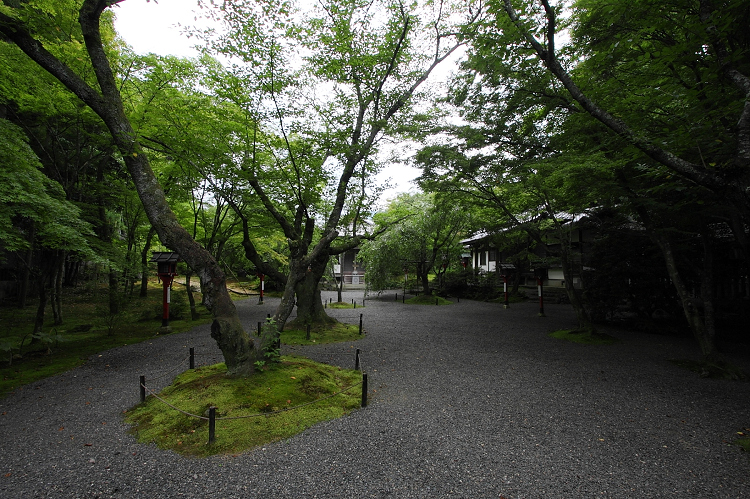 京都回顧 蓮の花咲くお寺－常照寺－ _b0169330_7344266.jpg