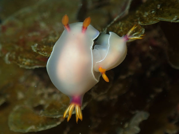 d0164831_06224457.jpg