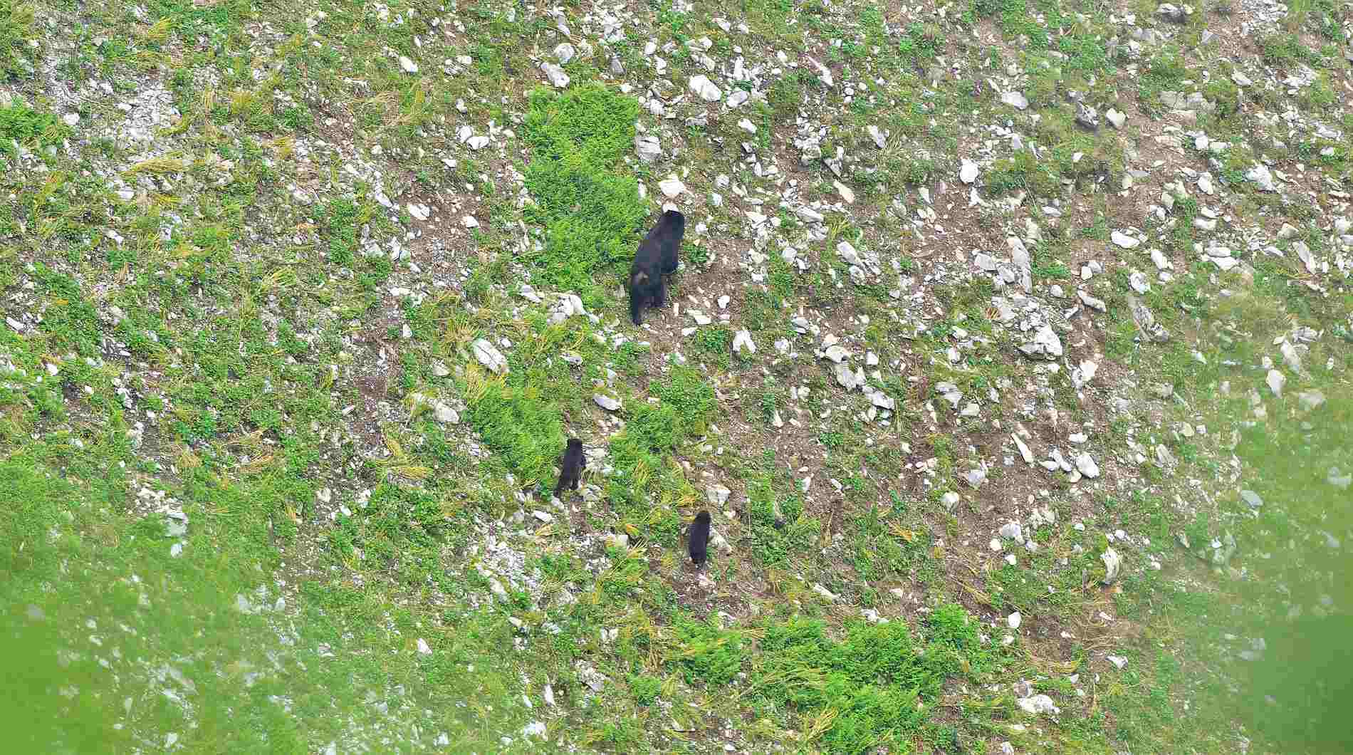 d0173131_05584873.jpg